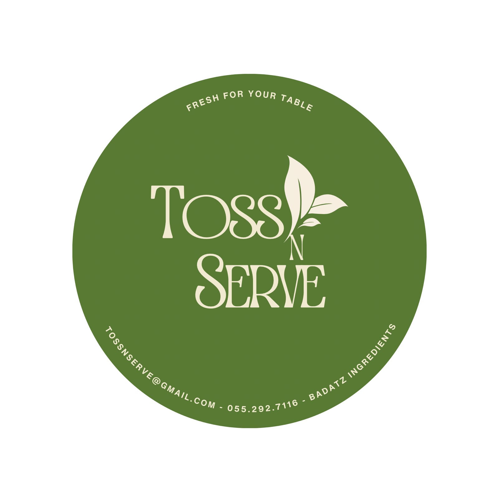 Toss N Serve logo
